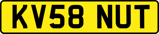 KV58NUT