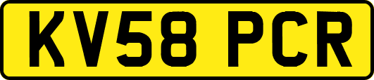 KV58PCR