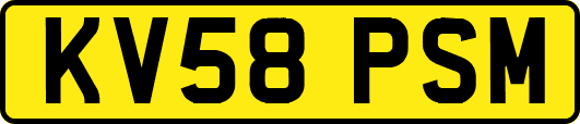 KV58PSM