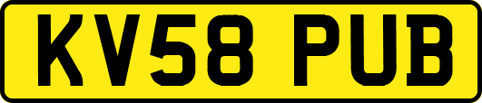 KV58PUB