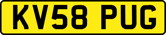 KV58PUG