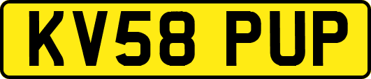KV58PUP