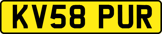 KV58PUR