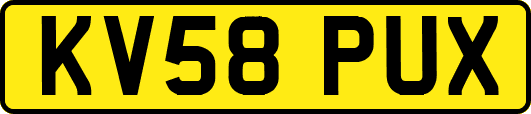 KV58PUX
