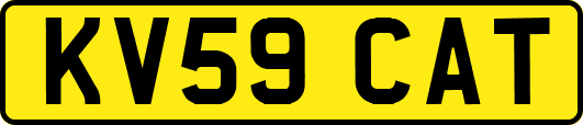KV59CAT