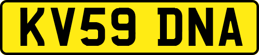 KV59DNA