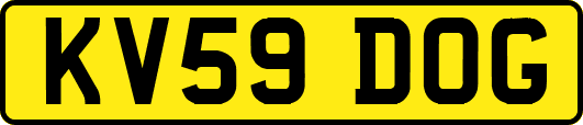 KV59DOG