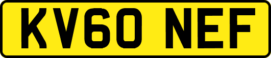 KV60NEF