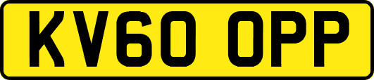 KV60OPP