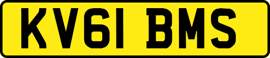 KV61BMS