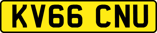 KV66CNU