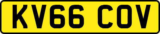 KV66COV