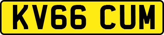 KV66CUM