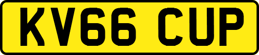 KV66CUP