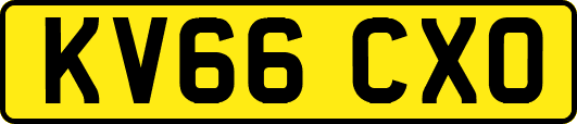 KV66CXO