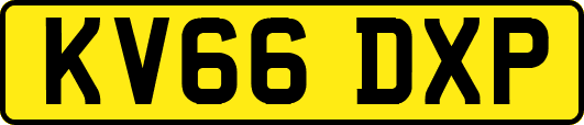 KV66DXP