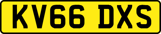 KV66DXS