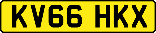 KV66HKX