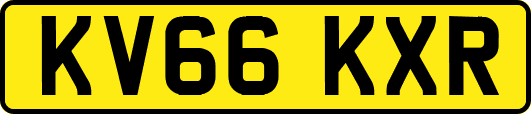 KV66KXR