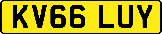 KV66LUY