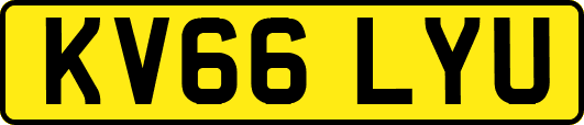 KV66LYU