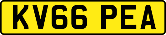 KV66PEA