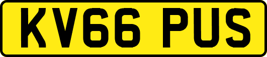 KV66PUS