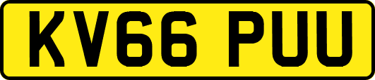 KV66PUU