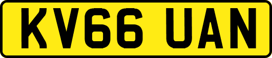 KV66UAN