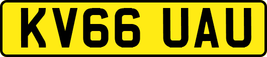 KV66UAU
