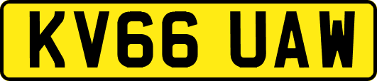 KV66UAW