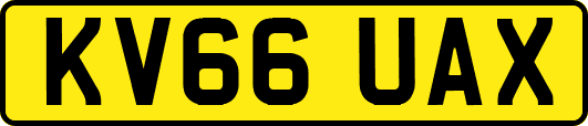 KV66UAX