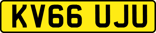KV66UJU