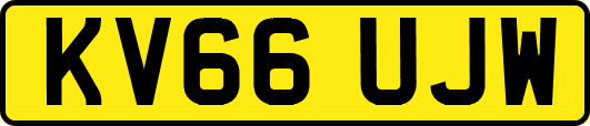 KV66UJW