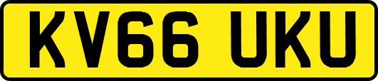 KV66UKU