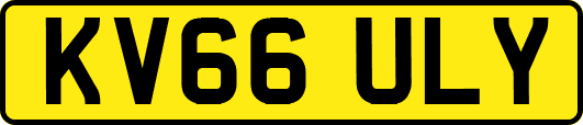 KV66ULY