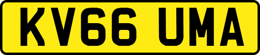 KV66UMA