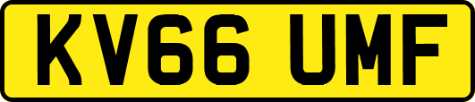 KV66UMF