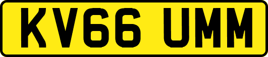 KV66UMM