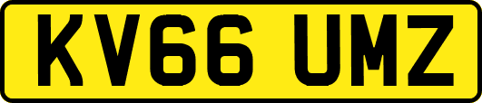 KV66UMZ