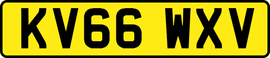 KV66WXV