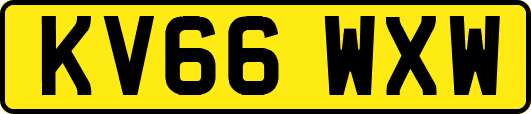 KV66WXW