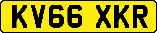 KV66XKR
