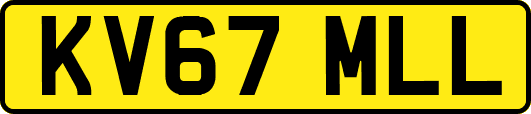 KV67MLL