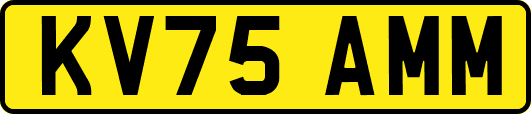 KV75AMM