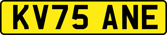 KV75ANE