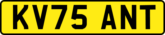 KV75ANT