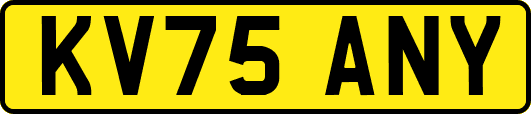 KV75ANY