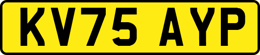 KV75AYP