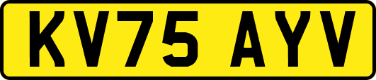 KV75AYV